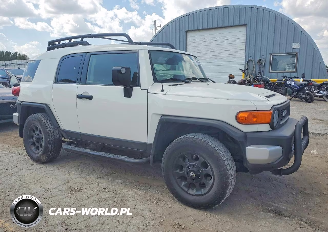 2013 Toyota Fj Cruiser Base VIN:JTEBU4BF9DK169252 - 4