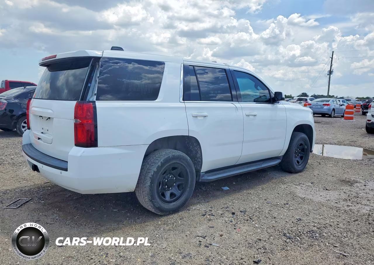 2019 Chevrolet Tahoe Police VIN:1GNLCDECXKR272656 - 3