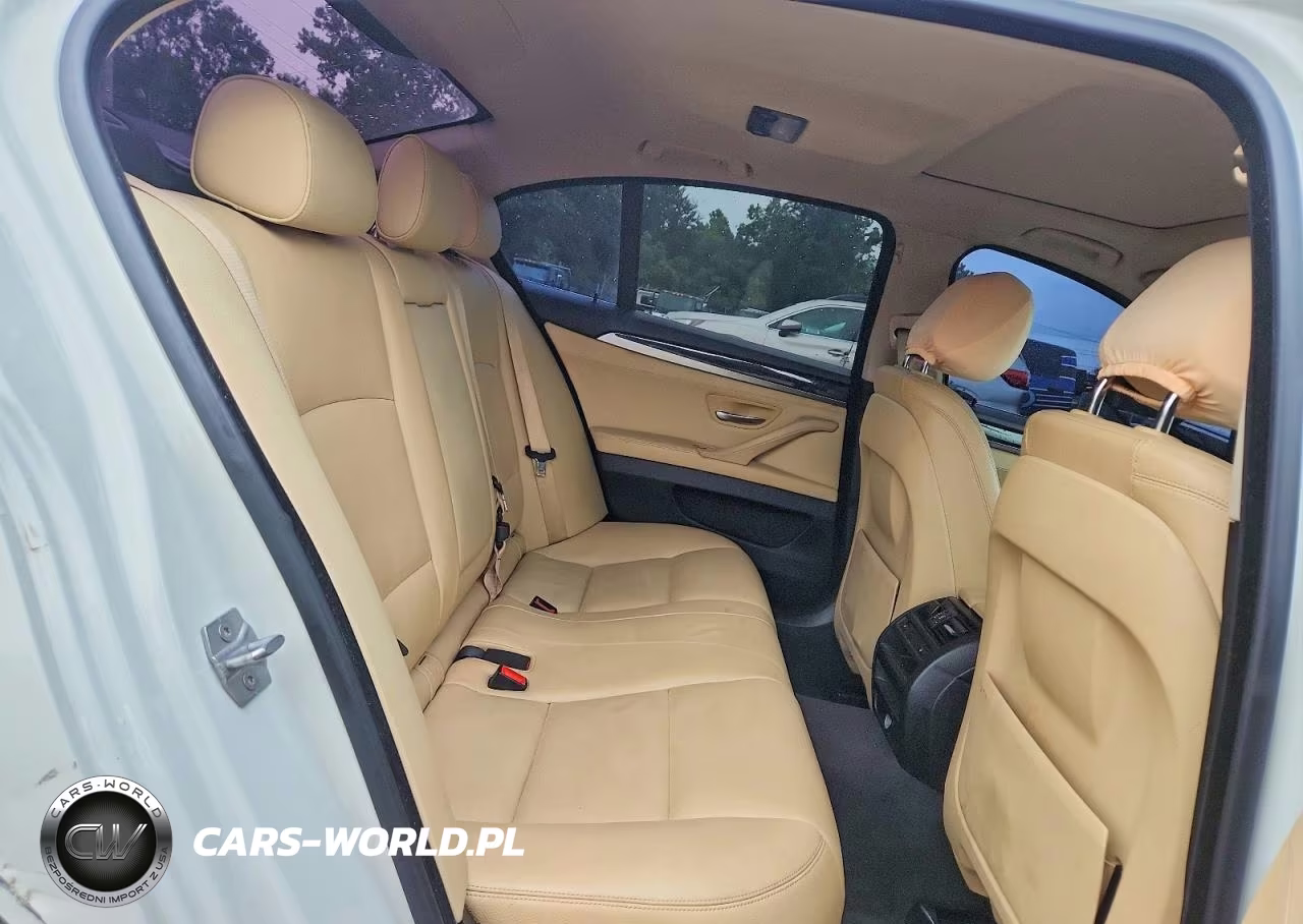 2016 BMW 528 Xi VIN:WBA5A7C55GG150610 - 10