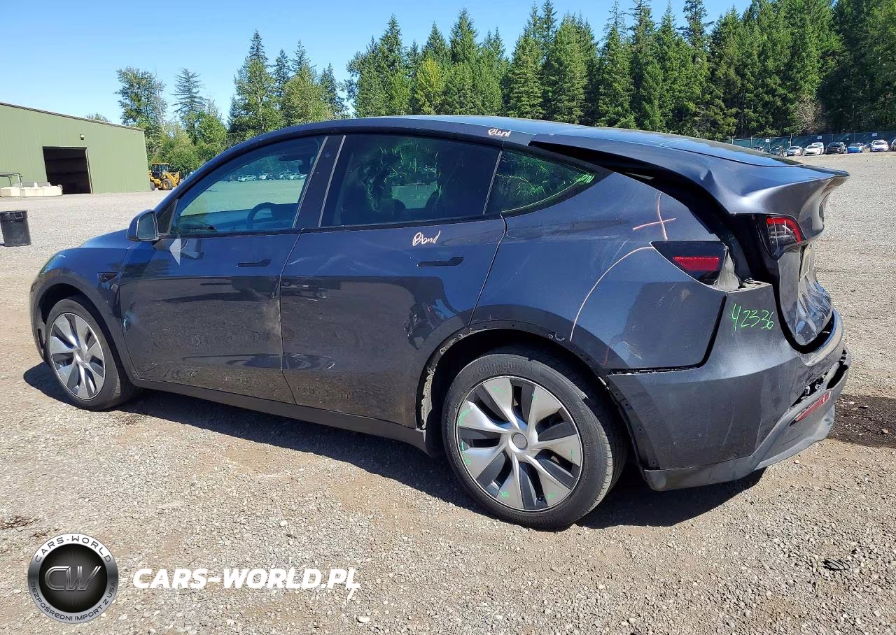 2023 Tesla Model Y VIN:7SAYGDEEXPF607774 - 2