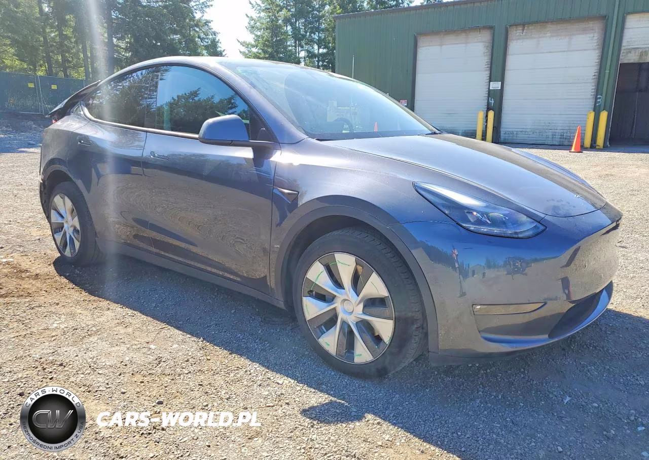 2023 Tesla Model Y VIN:7SAYGDEEXPF607774 - 4