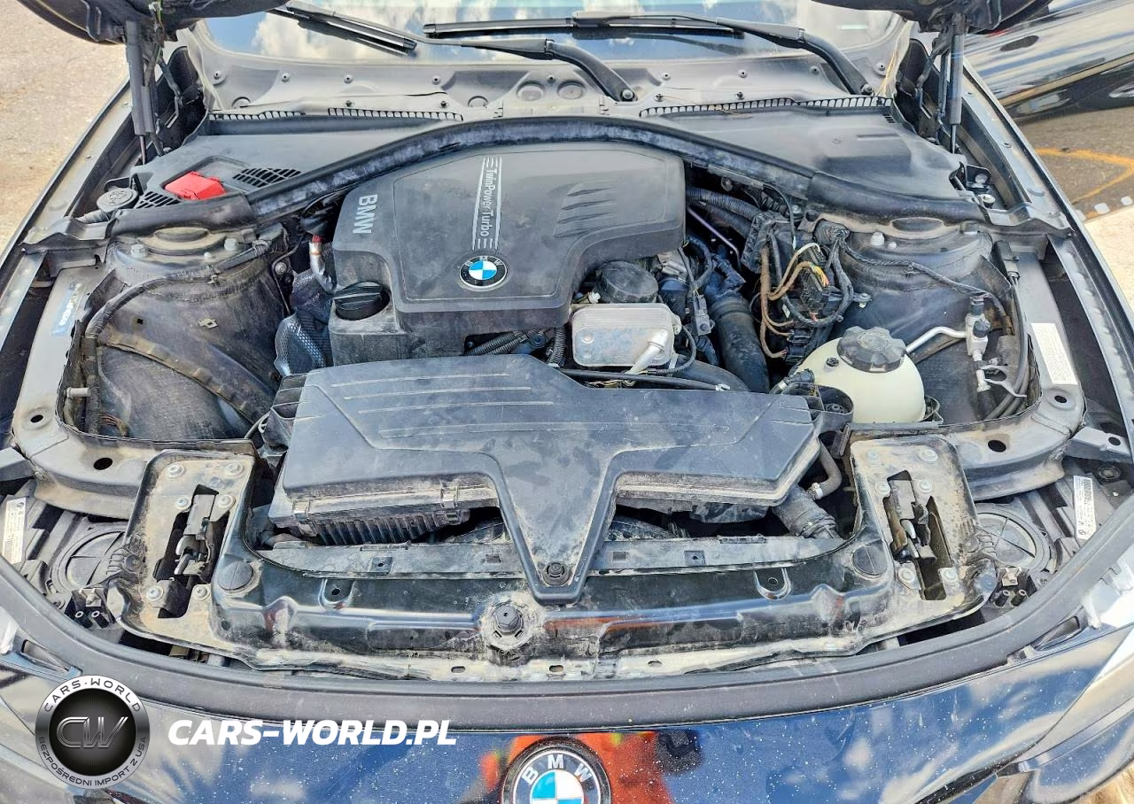 2013 BMW 320 I VIN:WBA3B1C58DF462570 - 11