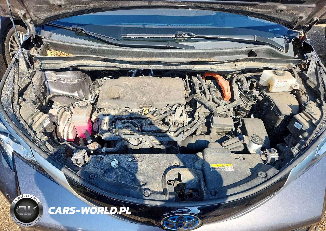 2021 Toyota Sienna Platinum 7-Passenger VIN:5TDESKFC8MS031349 - 12