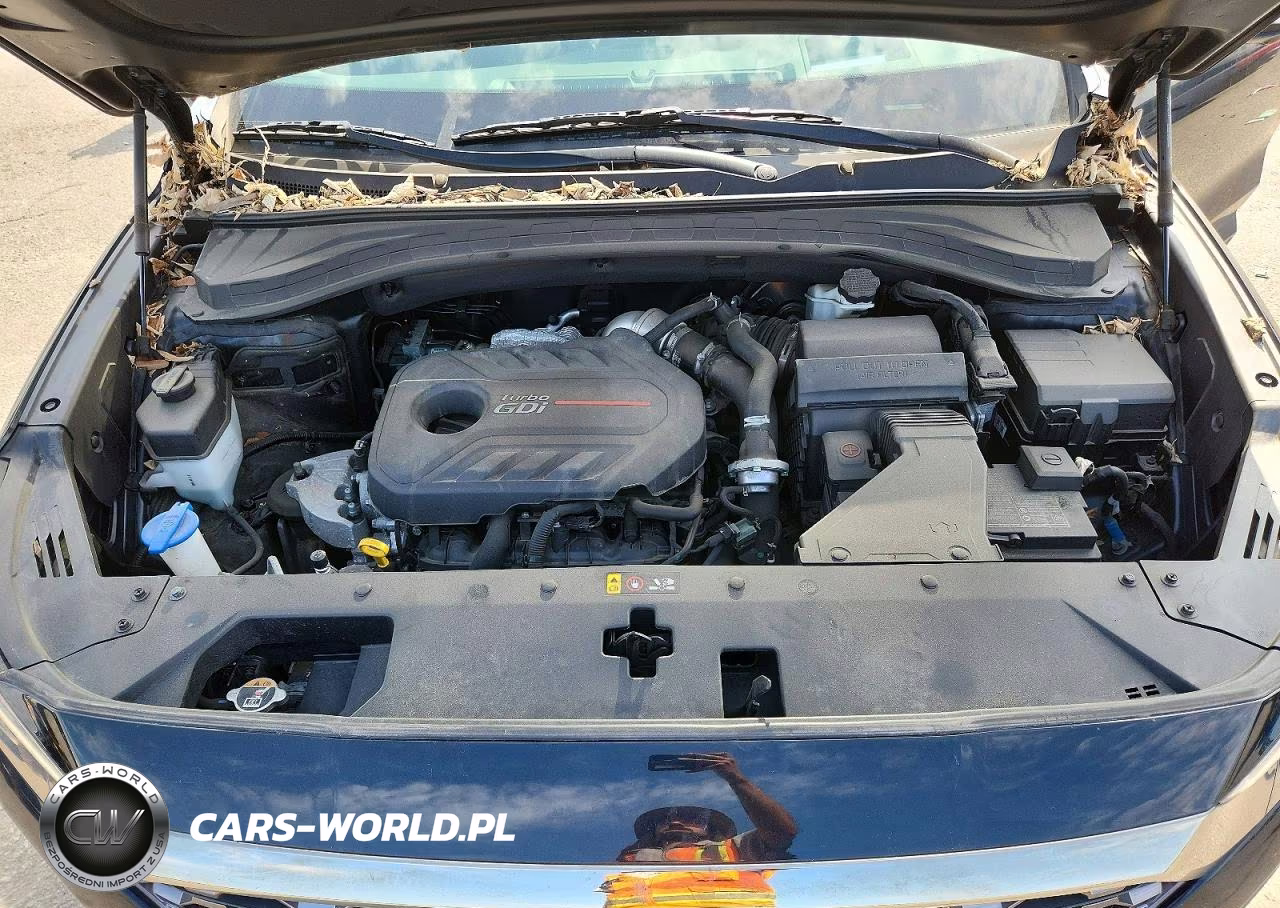 2020 Hyundai Santa Fe Limited 2.0T VIN:5NMS5CAA0LH255612 - 12