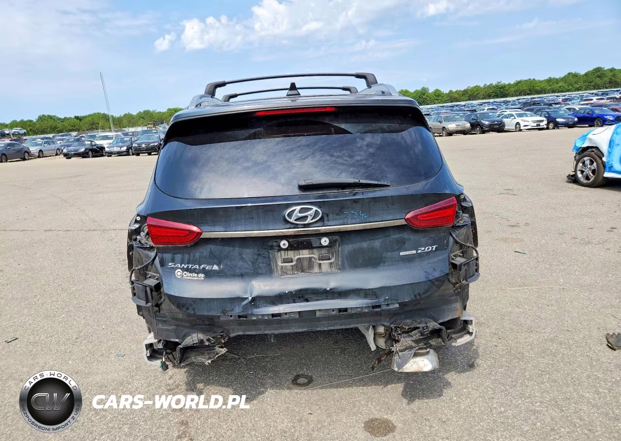 2020 Hyundai Santa Fe Limited 2.0T VIN:5NMS5CAA0LH255612 - 6