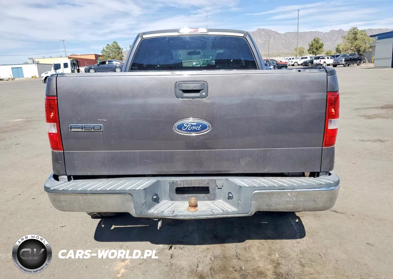 2004 Ford F150 VIN:1FTRX12W34NC32496 - 6