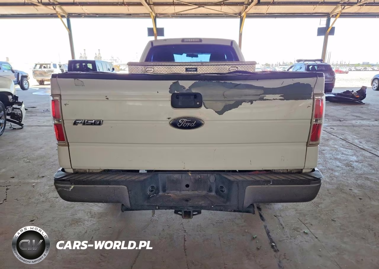 2009 Ford F150 VIN:1FTRF12W09KA83914 - 6