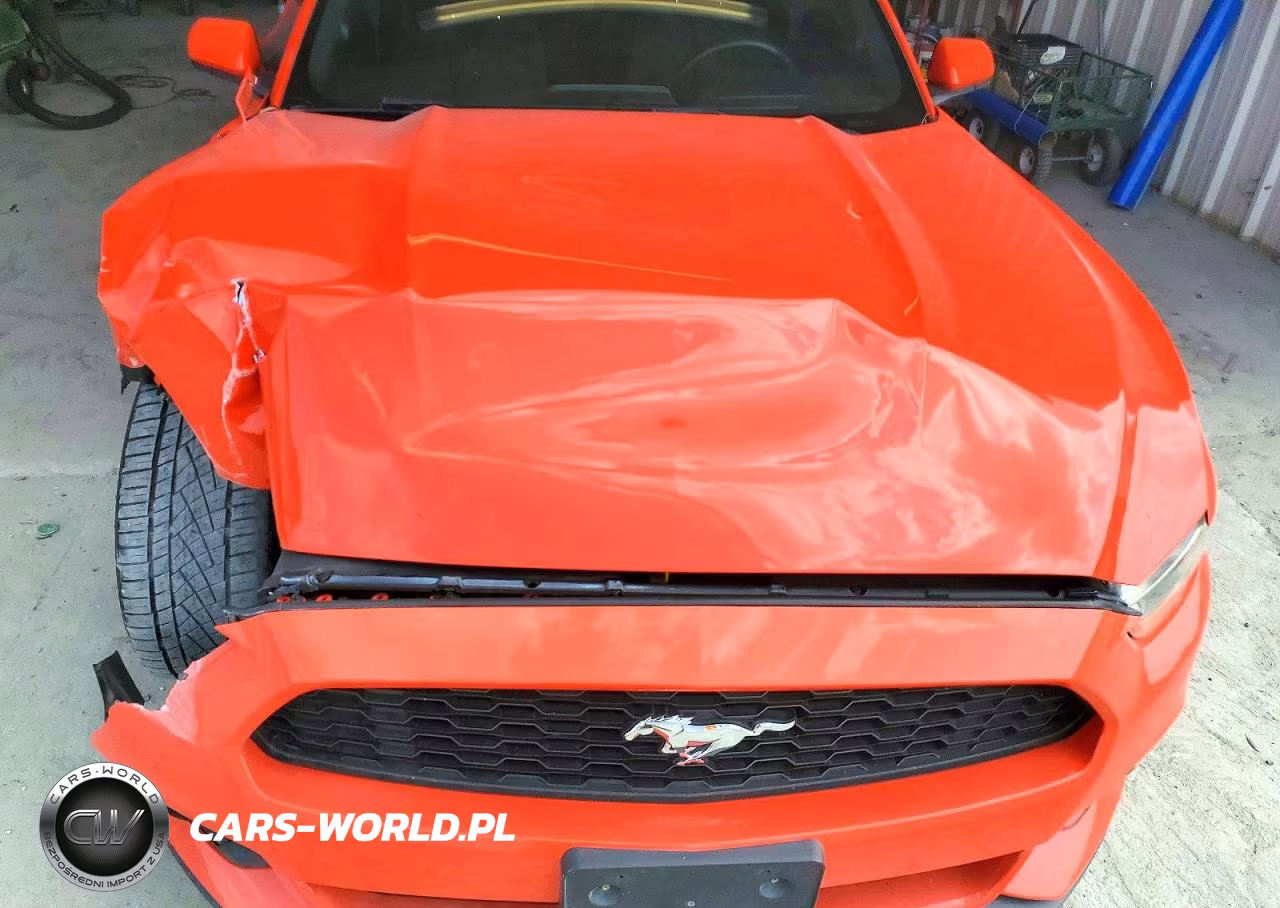 2016 Ford Mustang VIN:1FA6P8TH0G5219355 - 11
