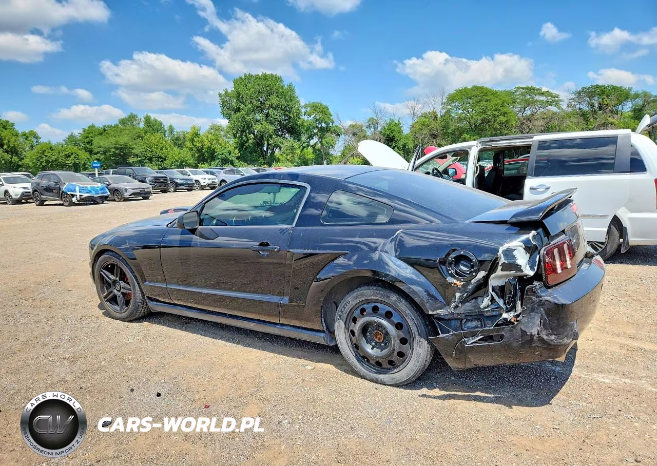 2005 Ford Mustang VIN:1ZVFT80N455149787 - 2