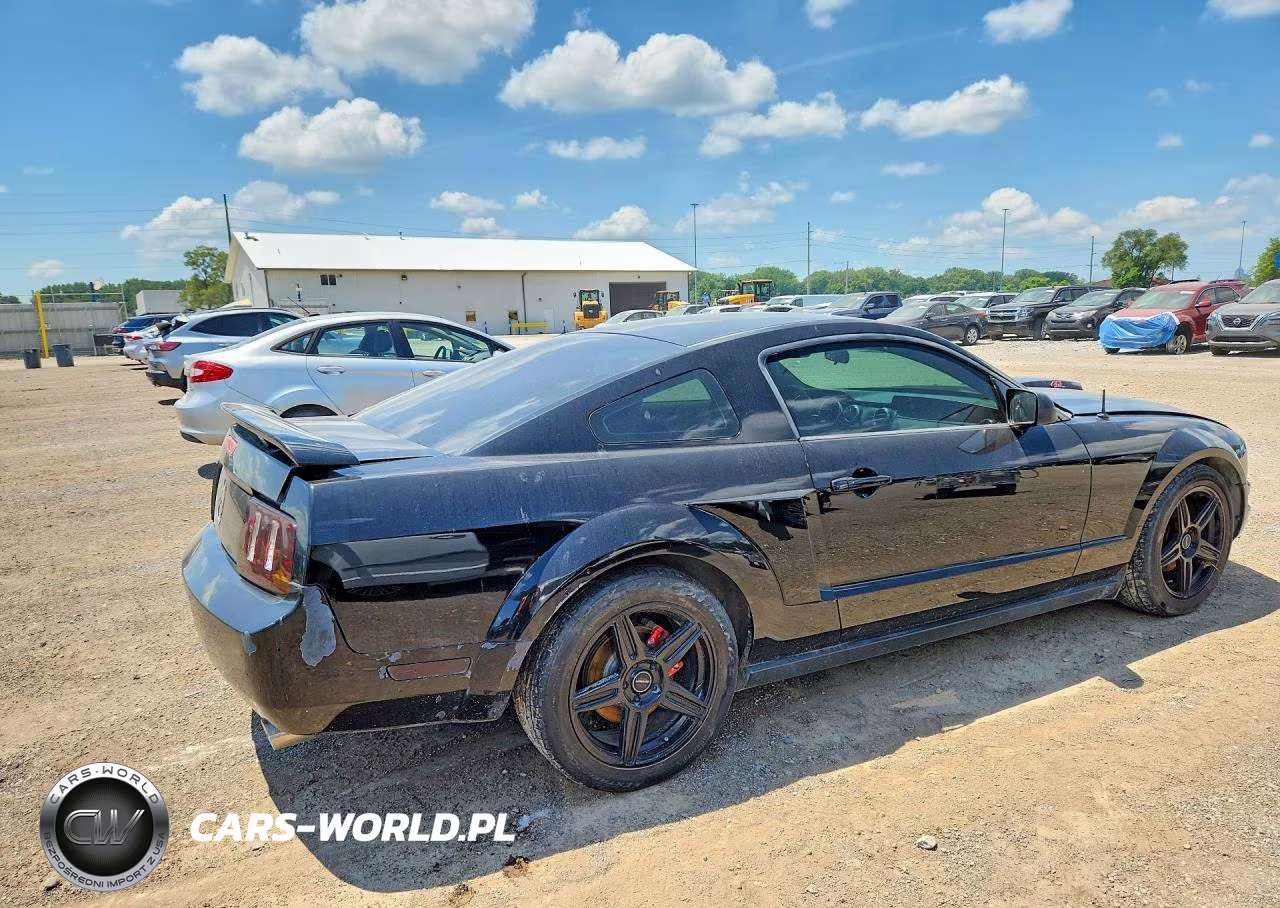 2005 Ford Mustang VIN:1ZVFT80N455149787 - 3