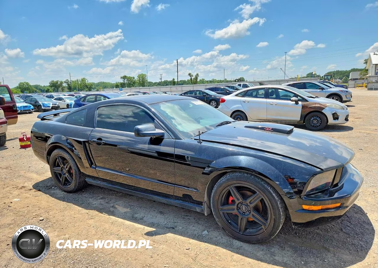 2005 Ford Mustang VIN:1ZVFT80N455149787 - 4