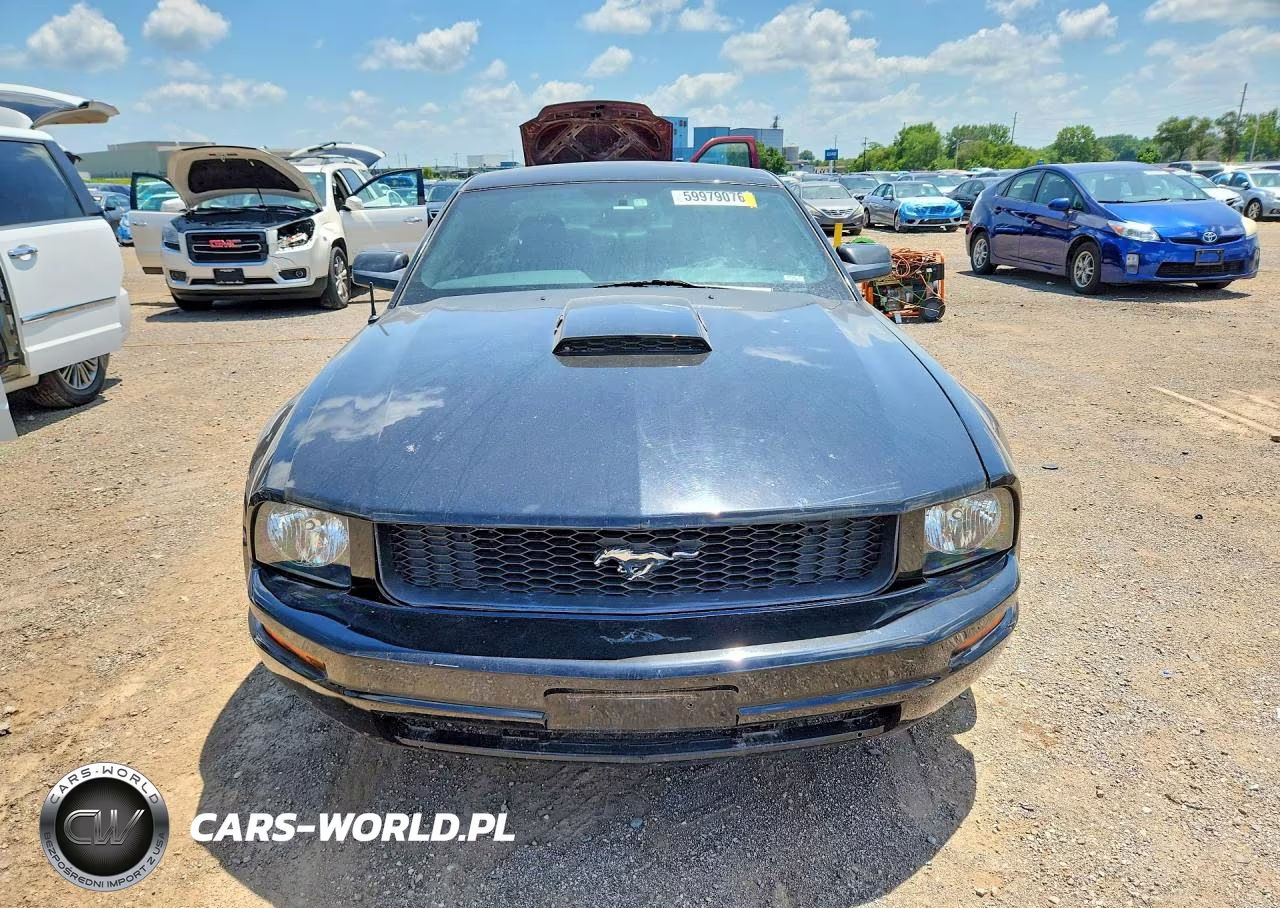 2005 Ford Mustang VIN:1ZVFT80N455149787 - 5