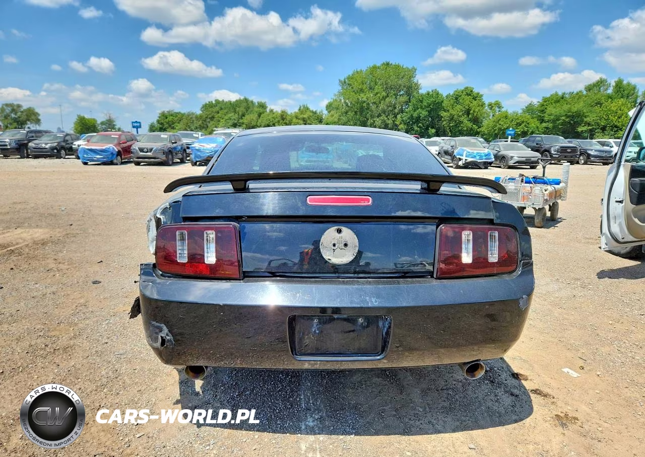 2005 Ford Mustang VIN:1ZVFT80N455149787 - 6