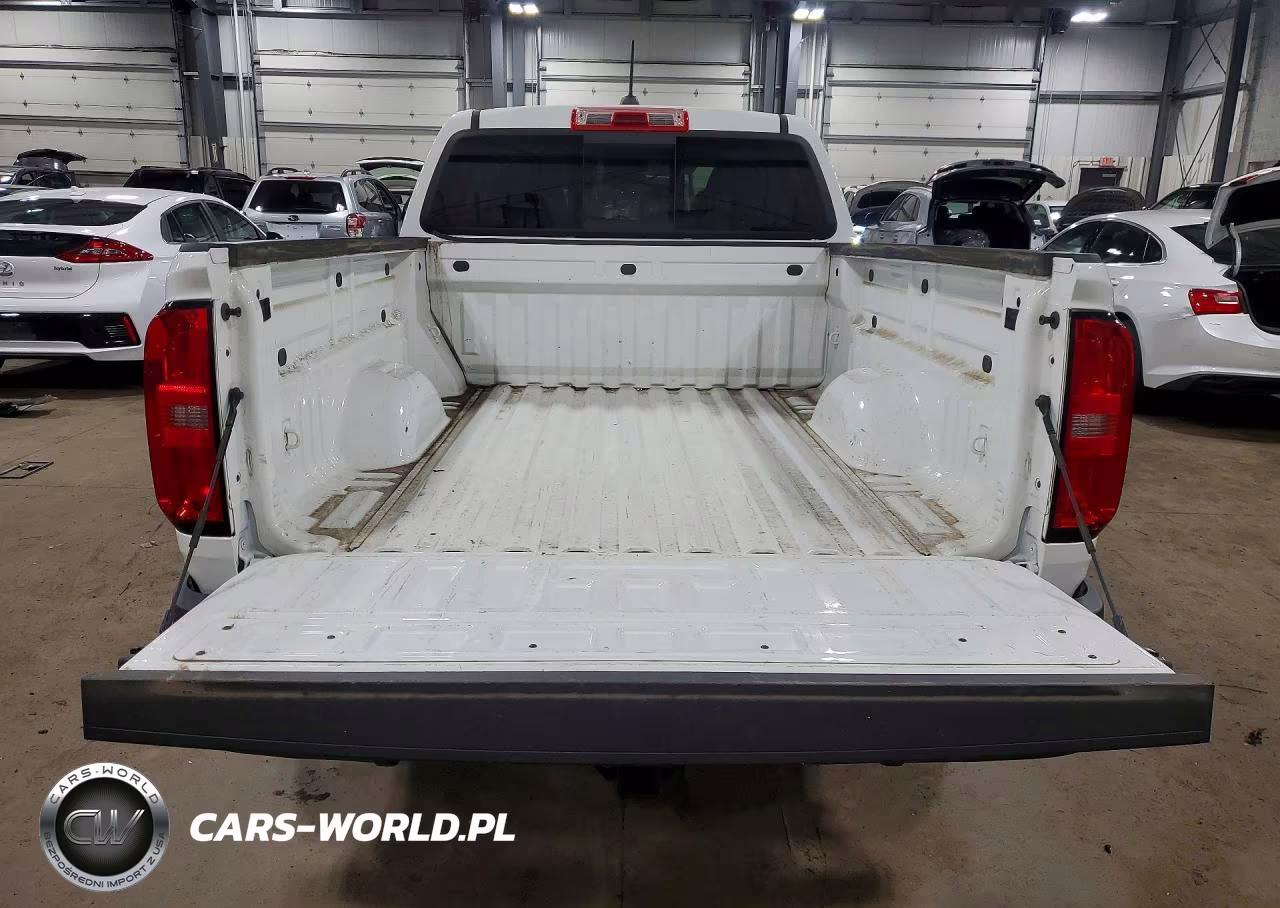 2019 Chevrolet Colorado Z71 VIN:1GCGTDEN2K1353287 - 6