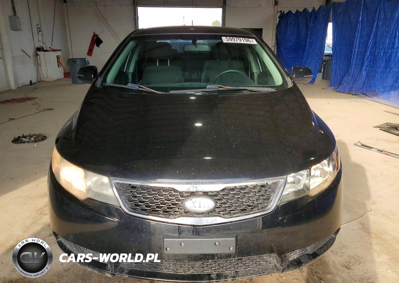 2012 Kia Forte Ex VIN:KNAFU4A23C5538461 - 5