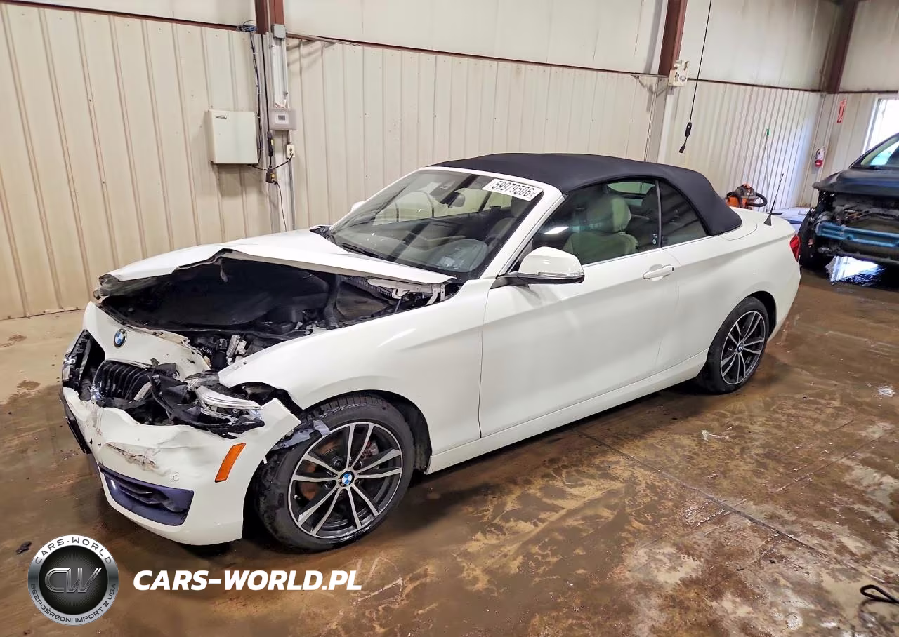 2019 BMW 230Xi