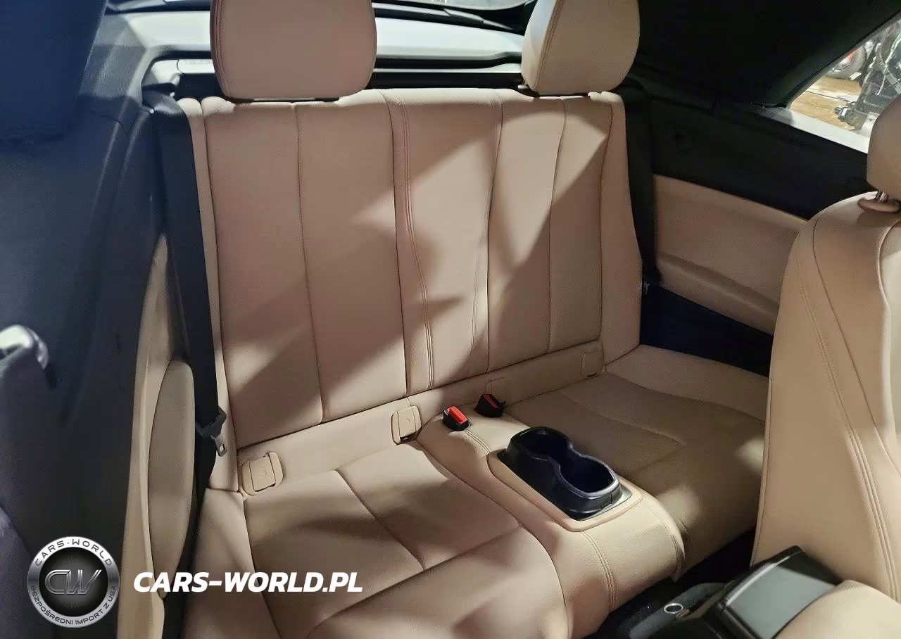 2019 BMW 230Xi VIN:WBA2K1C59KVD41810 - 10