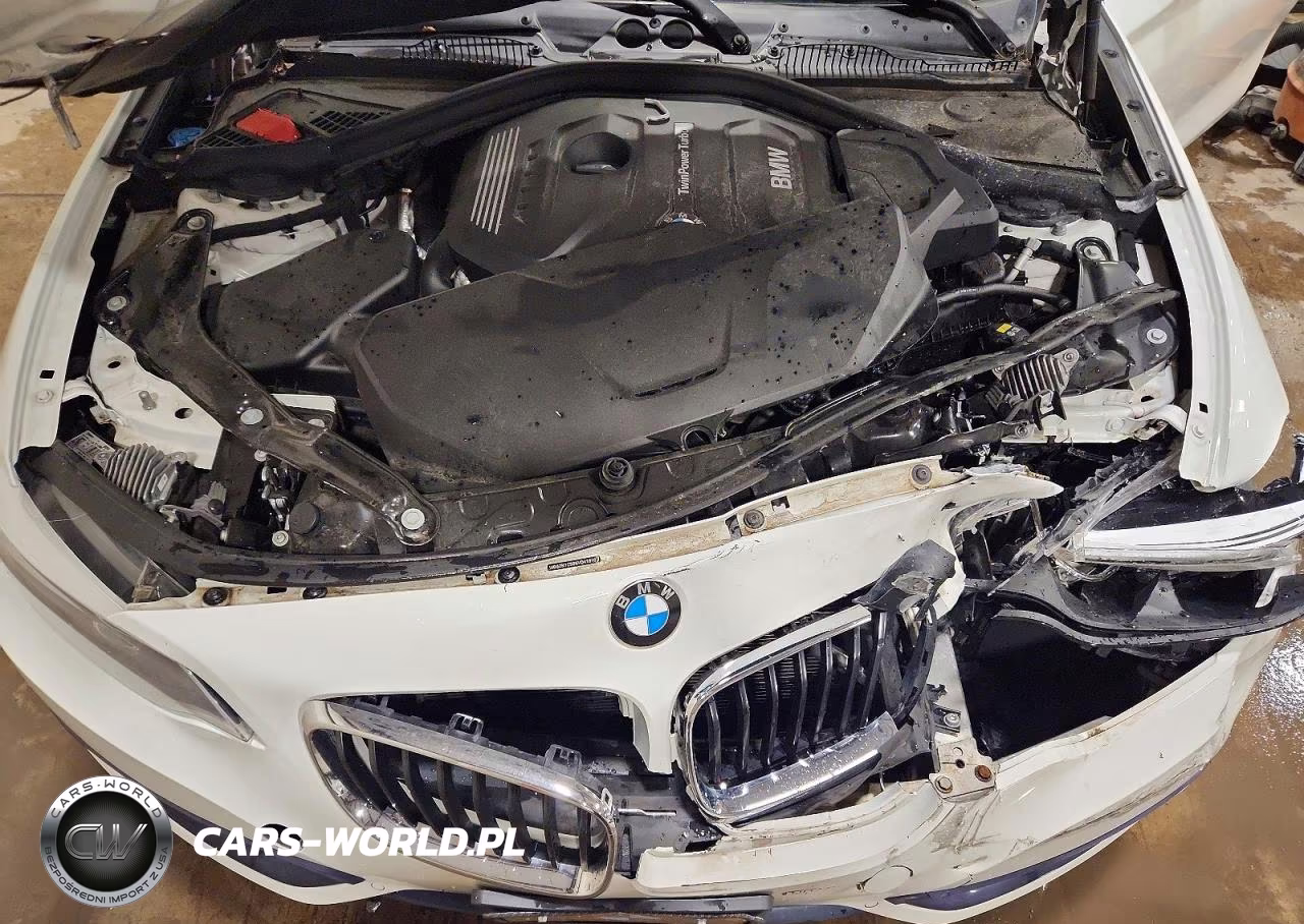2019 BMW 230Xi VIN:WBA2K1C59KVD41810 - 11