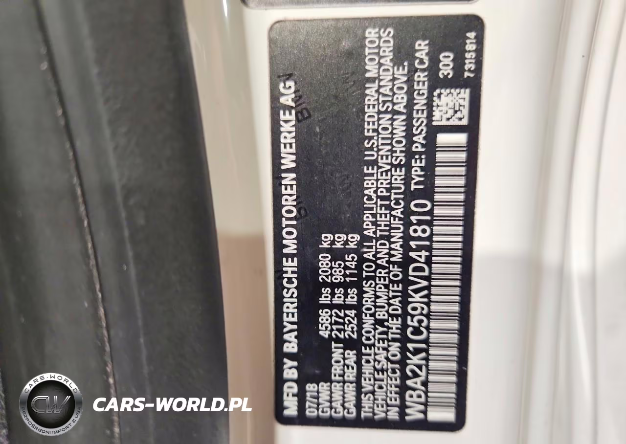2019 BMW 230Xi VIN:WBA2K1C59KVD41810 - 12