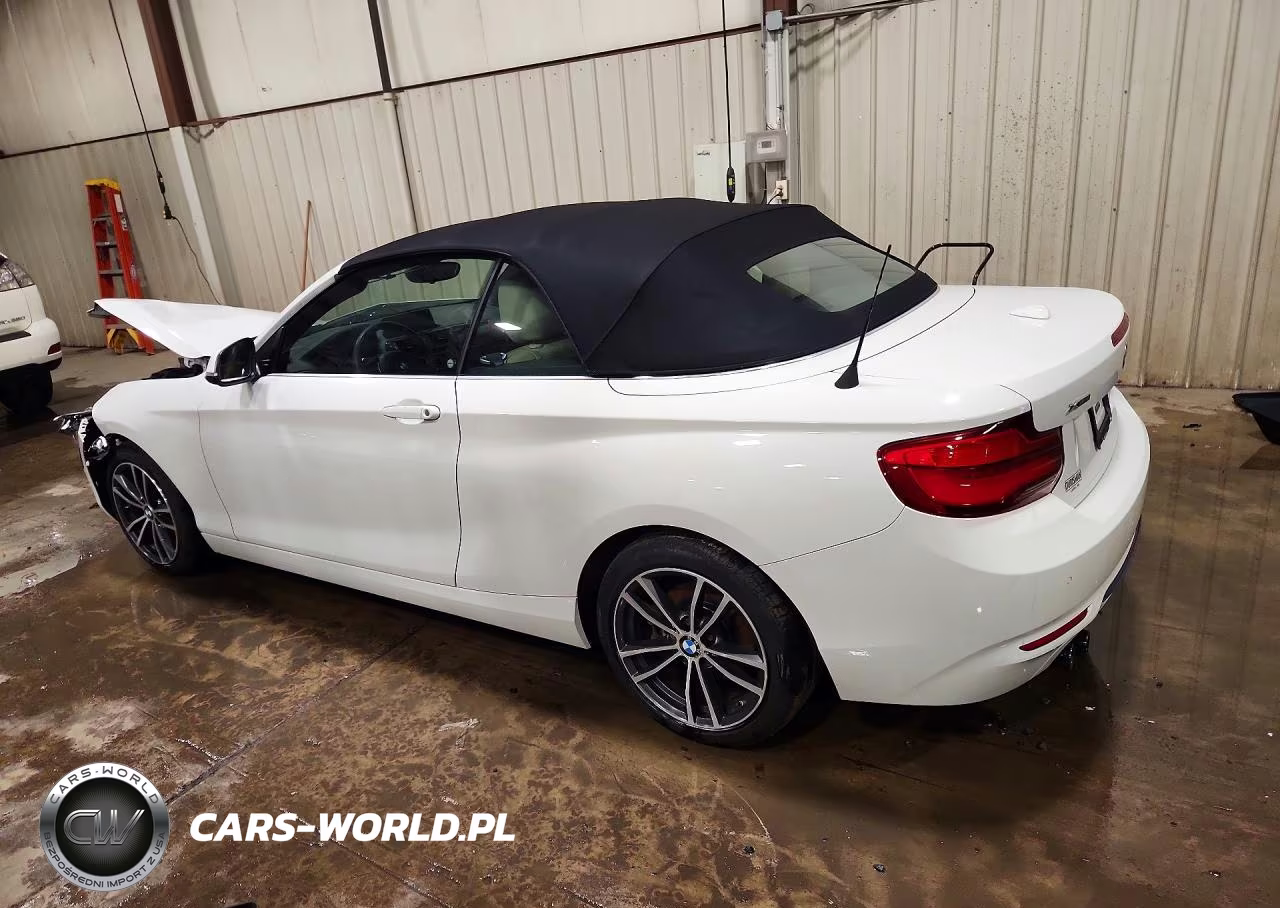2019 BMW 230Xi VIN:WBA2K1C59KVD41810 - 2