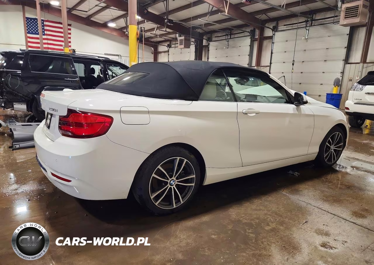 2019 BMW 230Xi VIN:WBA2K1C59KVD41810 - 3