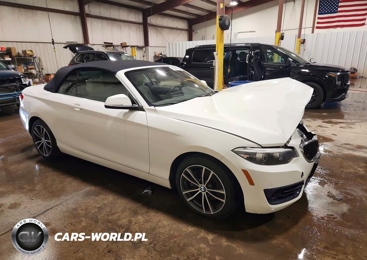 2019 BMW 230Xi VIN:WBA2K1C59KVD41810 - 4