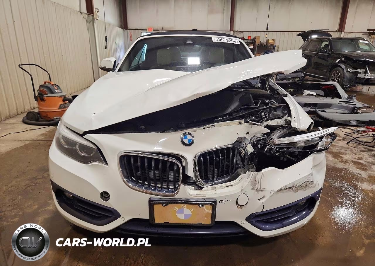2019 BMW 230Xi VIN:WBA2K1C59KVD41810 - 5