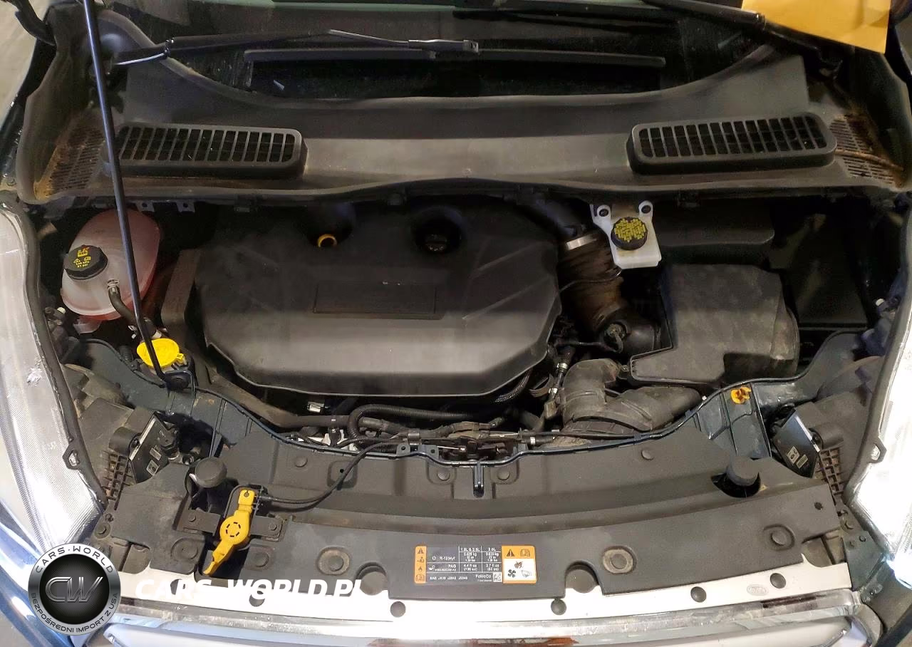 2019 Ford Escape Titanium VIN:1FMCU9J91KUC54522 - 12