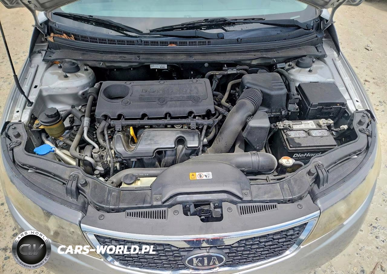 2013 Kia Forte VIN:KNAFU4A25D5695202 - 11