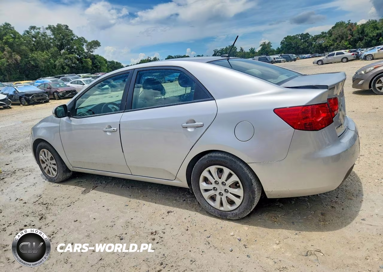 2013 Kia Forte VIN:KNAFU4A25D5695202 - 2