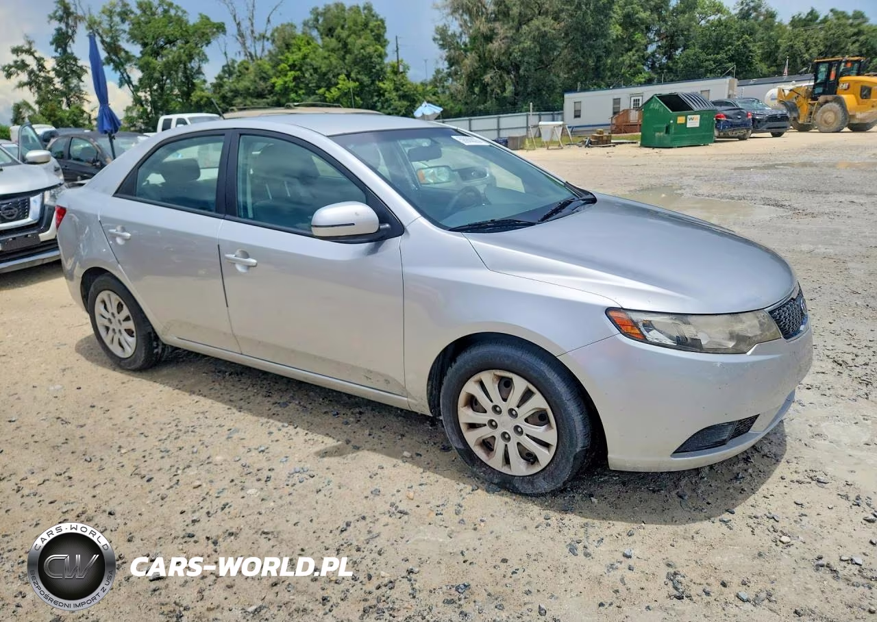 2013 Kia Forte VIN:KNAFU4A25D5695202 - 4