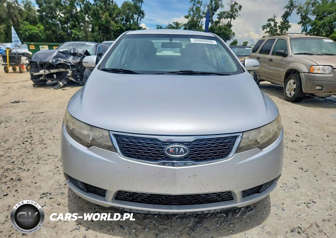 2013 Kia Forte VIN:KNAFU4A25D5695202 - 5