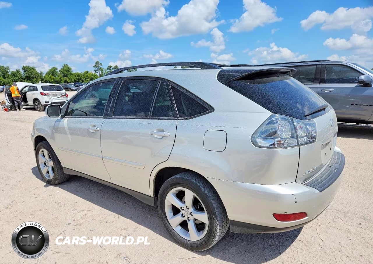 2004 Lexus Rx 330 VIN:JTJGA31U840042207 - 2