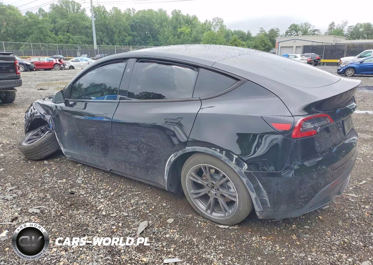 2025 Tesla Model Y VIN:7SAYGDED0SA375490 - 2