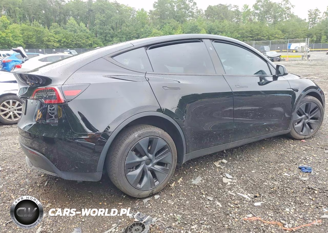 2025 Tesla Model Y VIN:7SAYGDED0SA375490 - 3