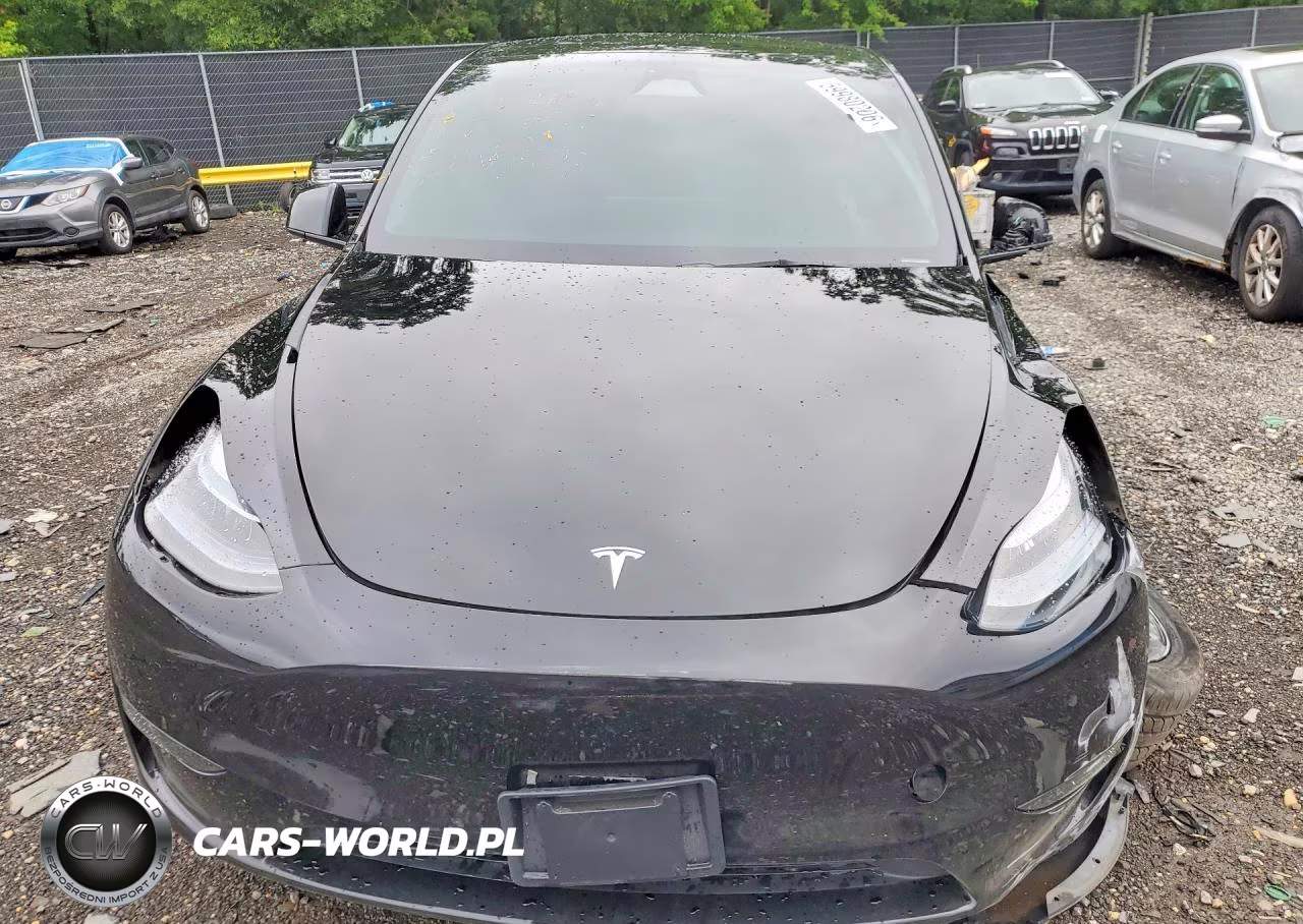 2025 Tesla Model Y VIN:7SAYGDED0SA375490 - 5