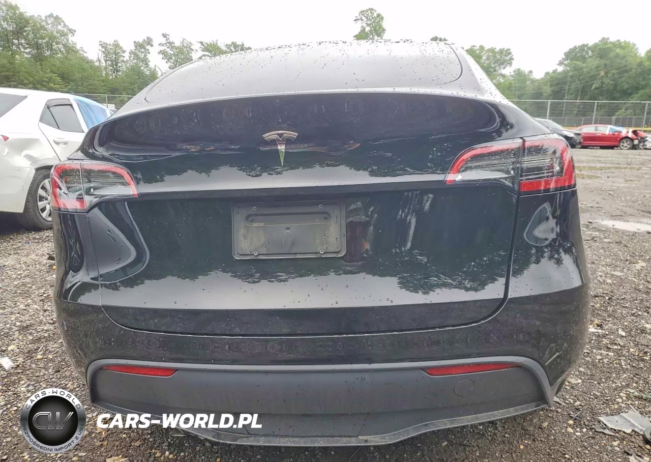 2025 Tesla Model Y VIN:7SAYGDED0SA375490 - 6
