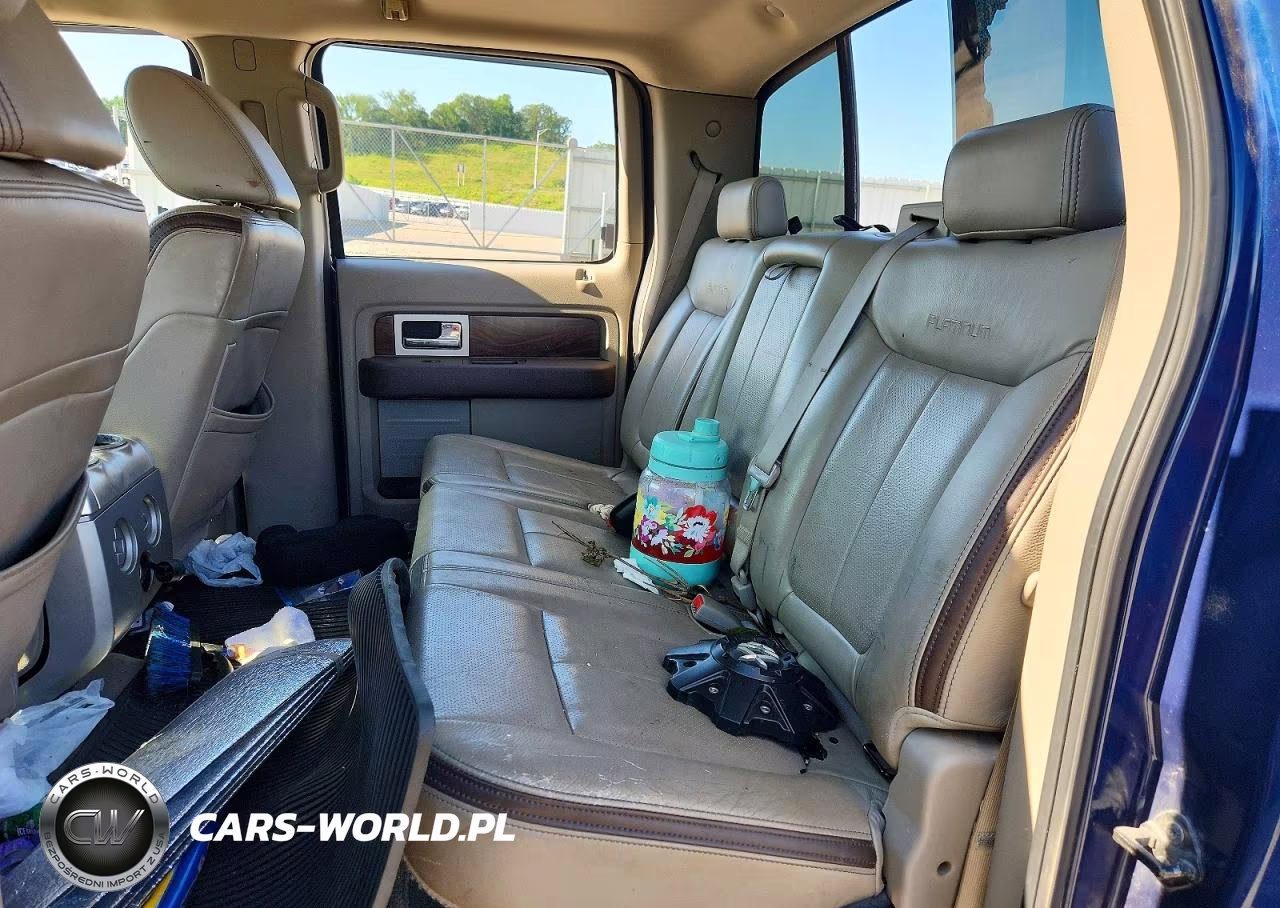 2009 Ford F150 Supercrew VIN:1FTPW14V49FA28855 - 10
