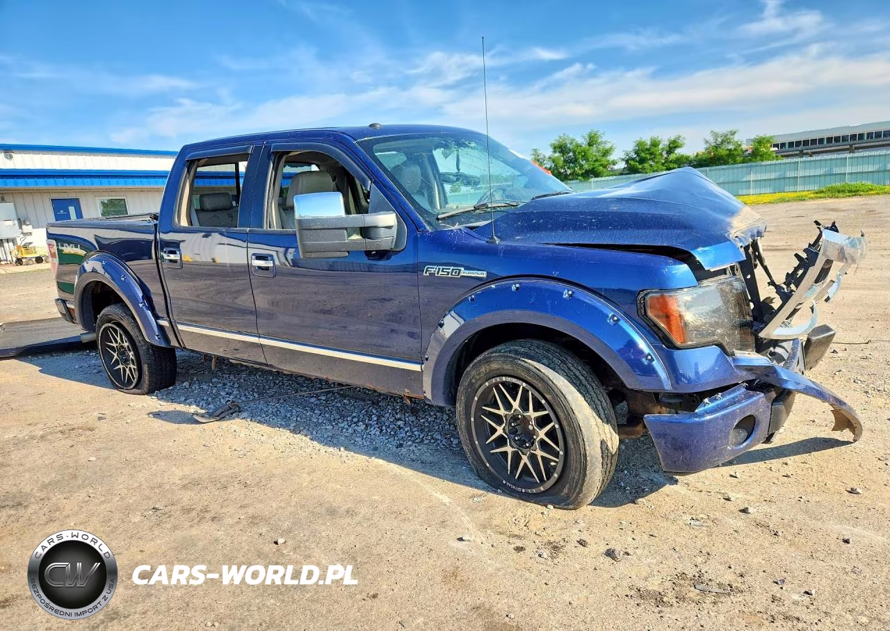 2009 Ford F150 Supercrew VIN:1FTPW14V49FA28855 - 4