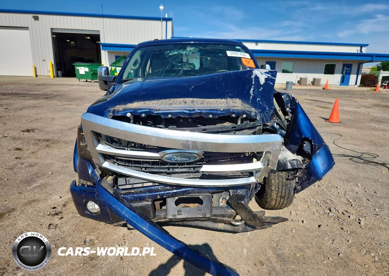 2009 Ford F150 Supercrew VIN:1FTPW14V49FA28855 - 5