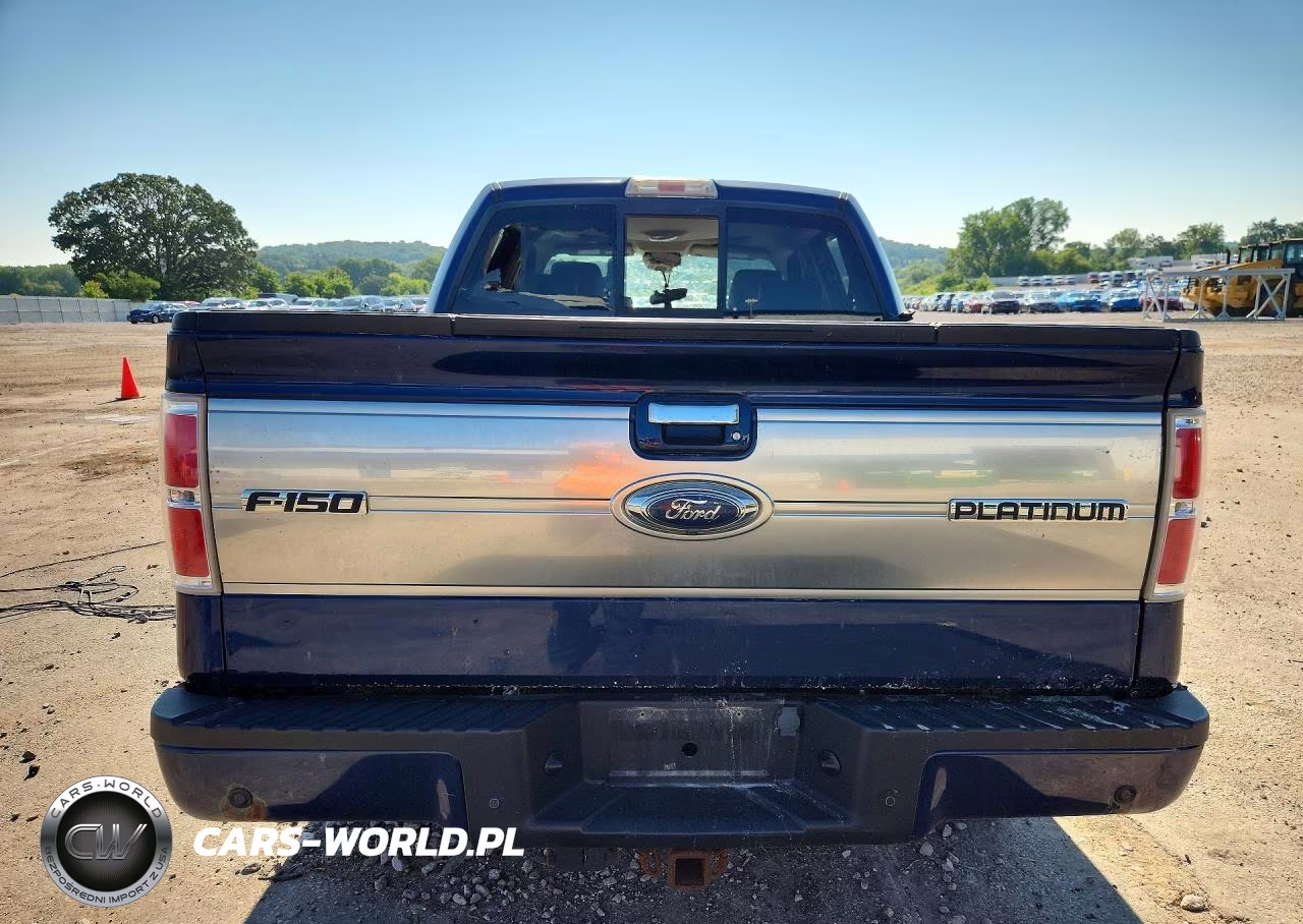 2009 Ford F150 Supercrew VIN:1FTPW14V49FA28855 - 6