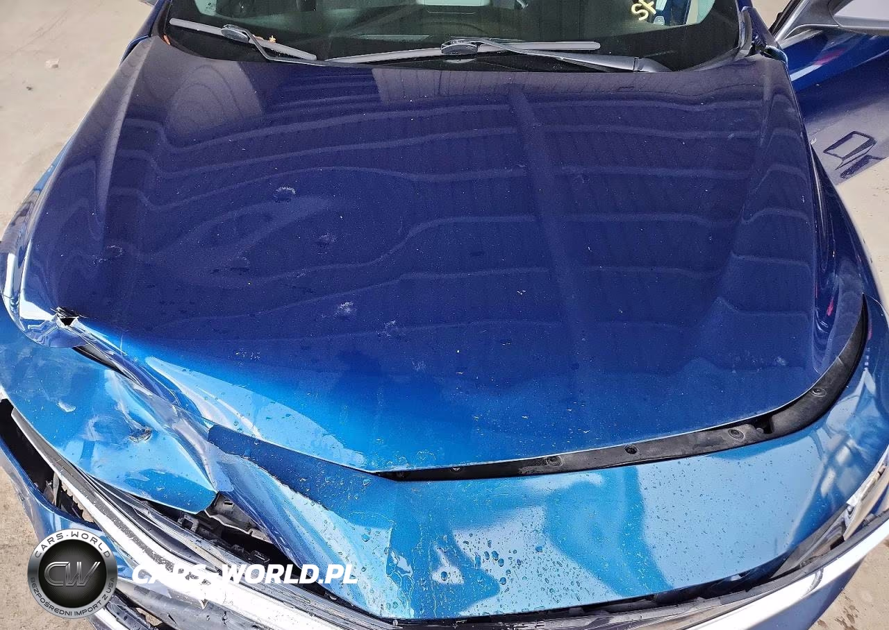 2019 Chevrolet Malibu Ls VIN:1G1ZB5ST2KF133101 - 11