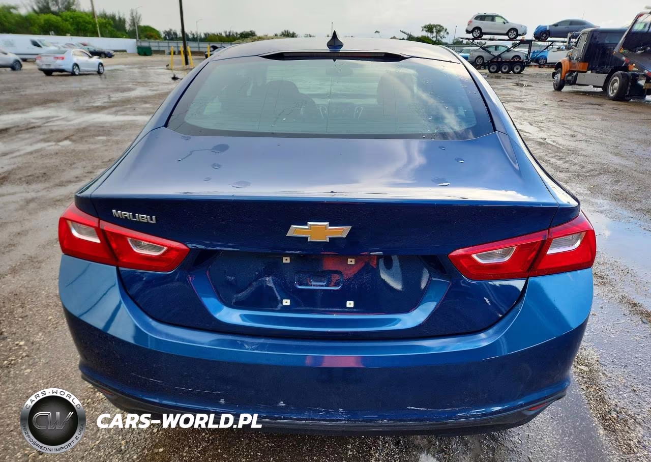 2019 Chevrolet Malibu Ls VIN:1G1ZB5ST2KF133101 - 6