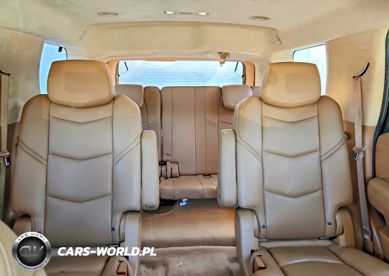 2016 Cadillac Escalade Platinum VIN:1GYS4DKJ8GR162856 - 10