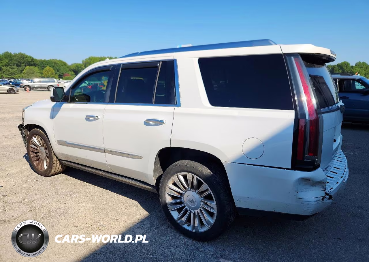 2016 Cadillac Escalade Platinum VIN:1GYS4DKJ8GR162856 - 2