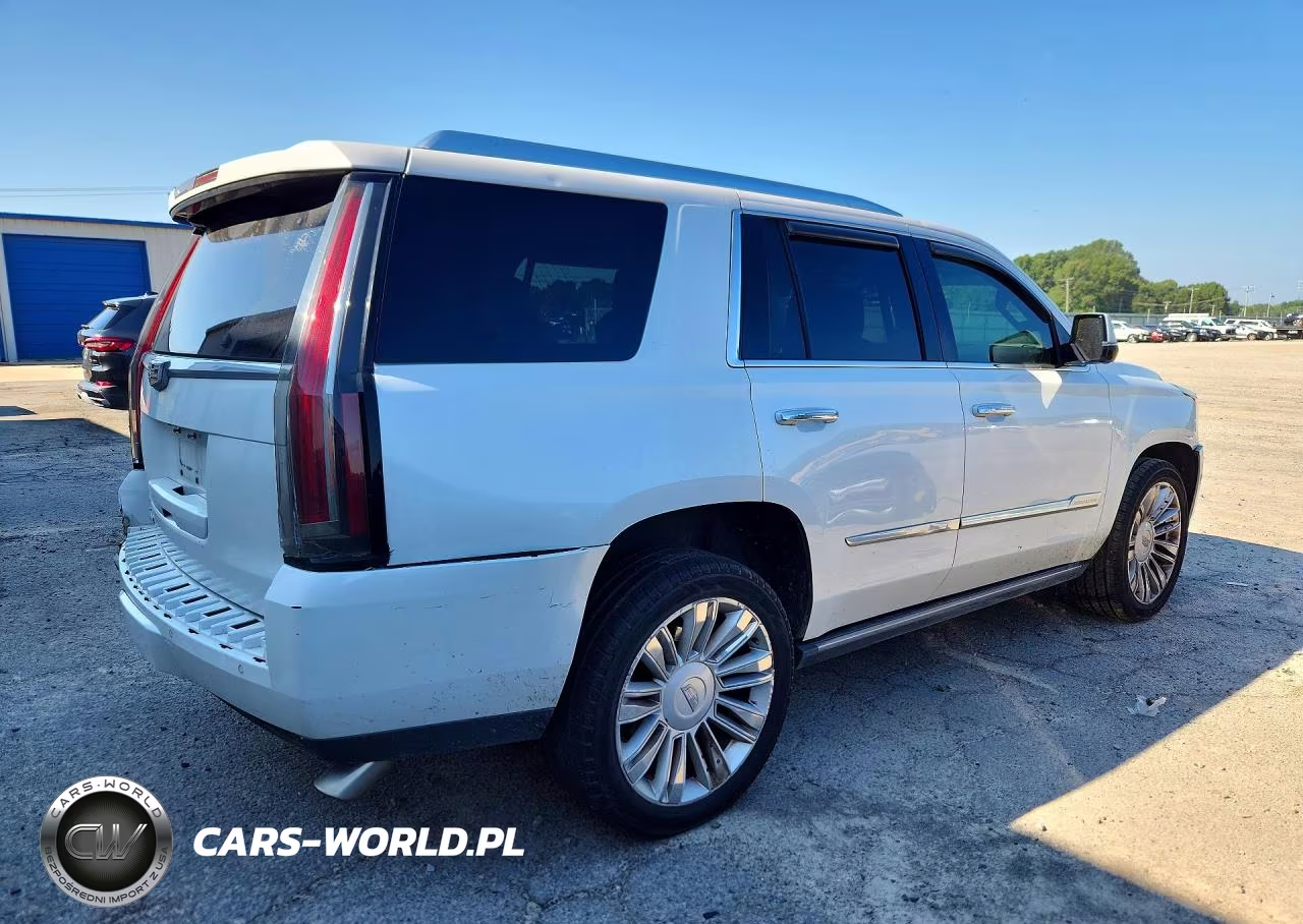 2016 Cadillac Escalade Platinum VIN:1GYS4DKJ8GR162856 - 3