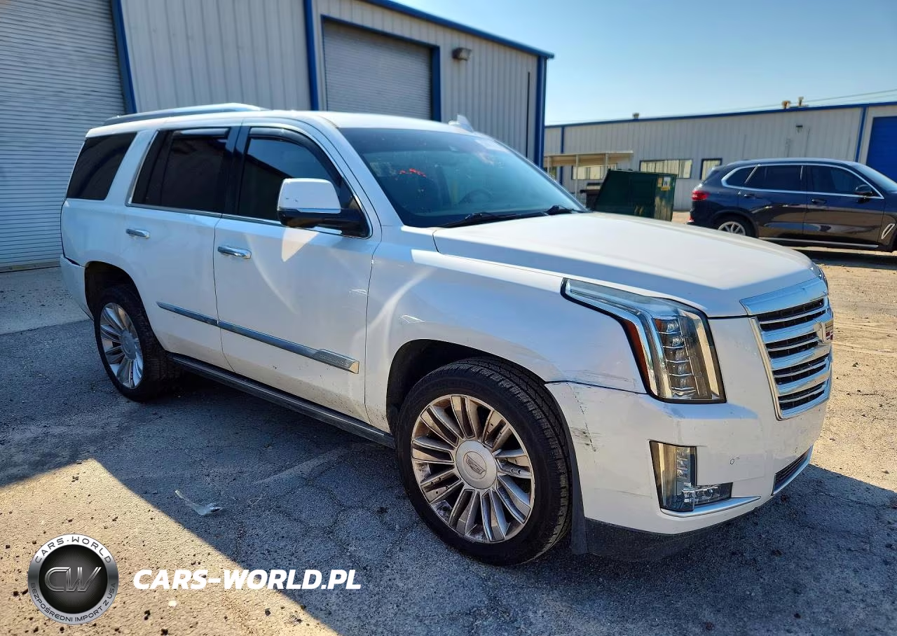 2016 Cadillac Escalade Platinum VIN:1GYS4DKJ8GR162856 - 4