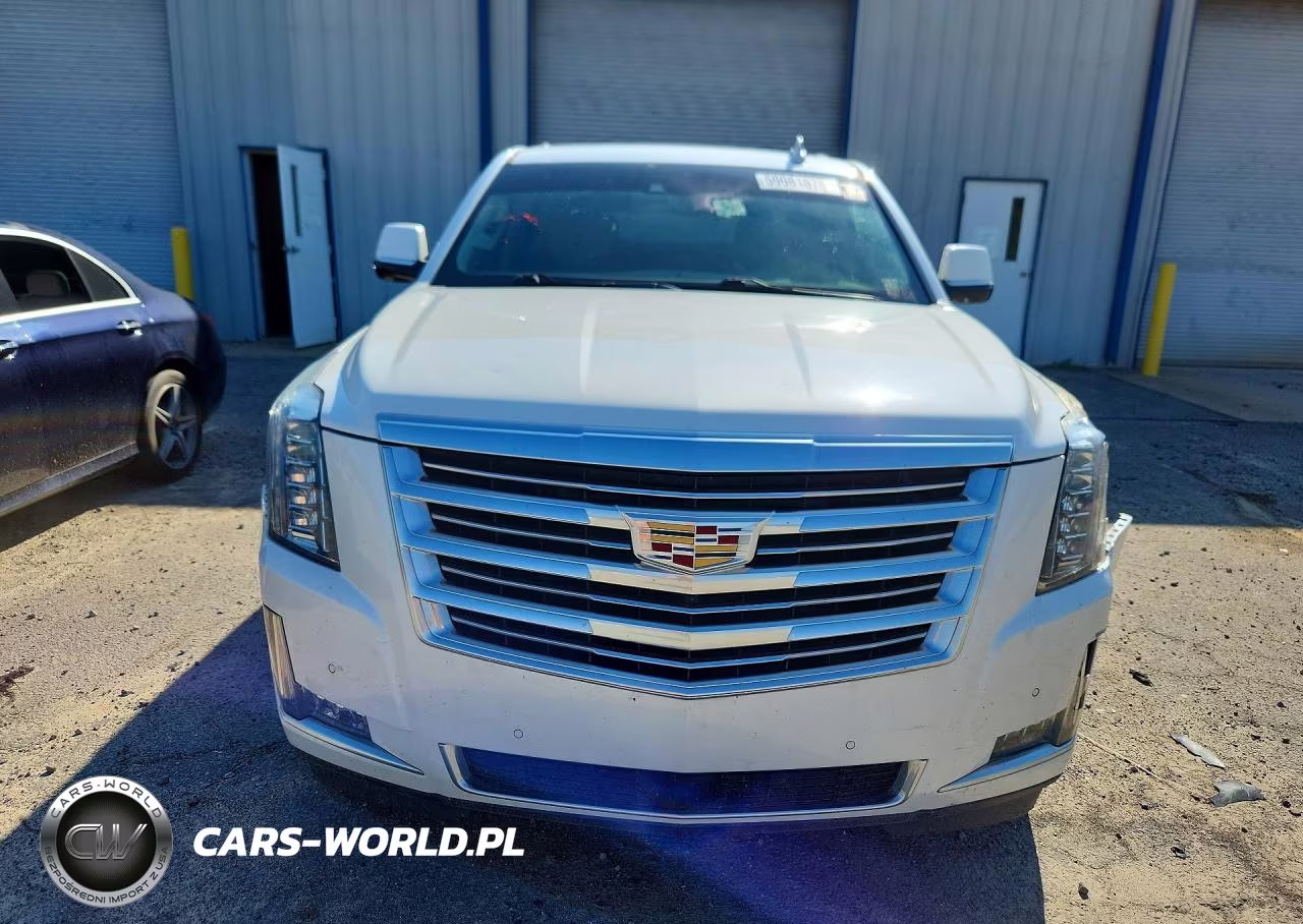 2016 Cadillac Escalade Platinum VIN:1GYS4DKJ8GR162856 - 5
