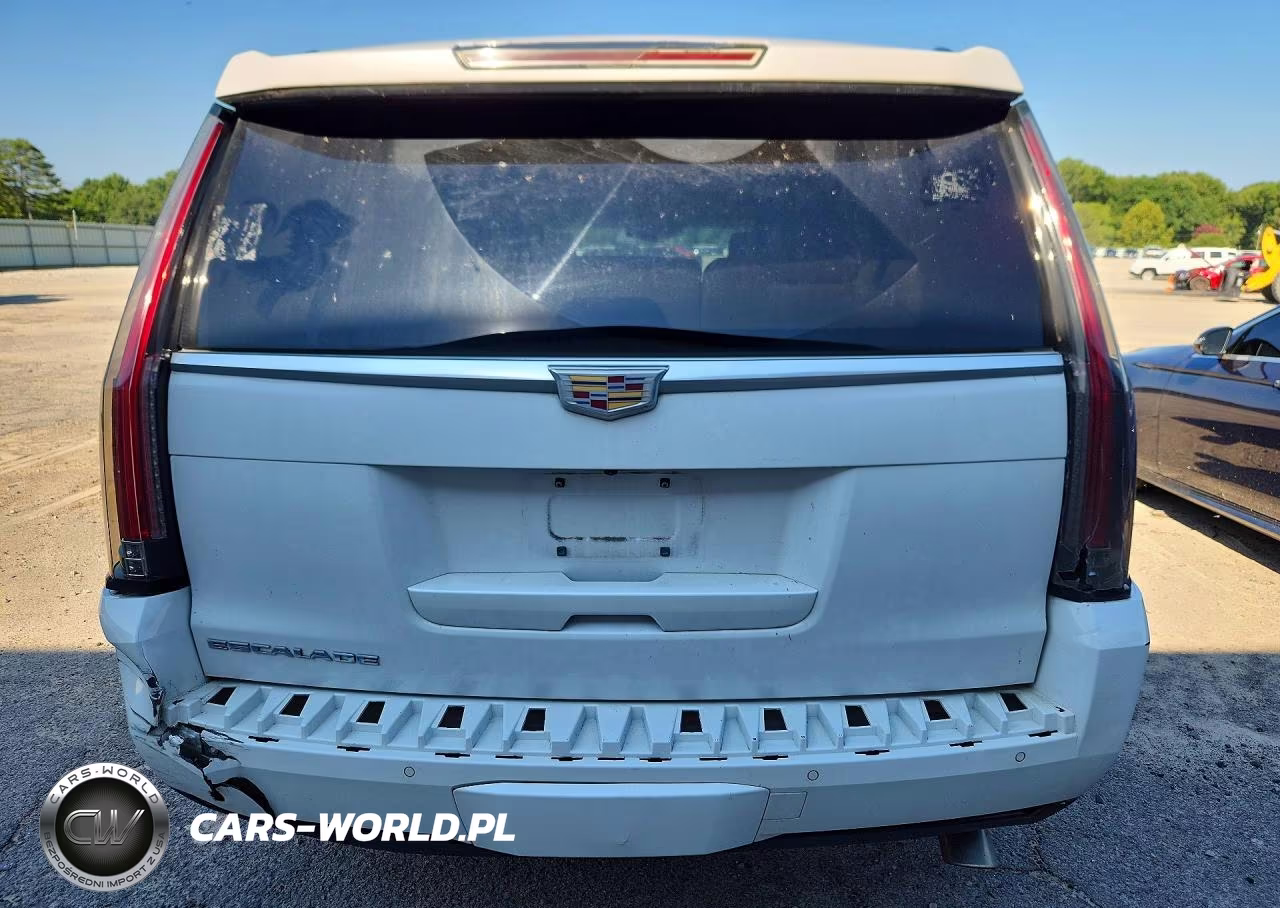 2016 Cadillac Escalade Platinum VIN:1GYS4DKJ8GR162856 - 6