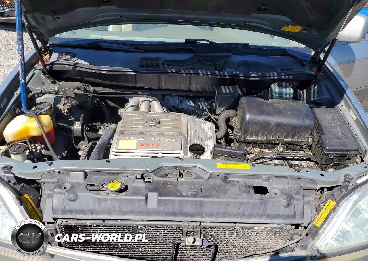 2002 Lexus Rx 300 VIN:JTJHF10U020290105 - 12